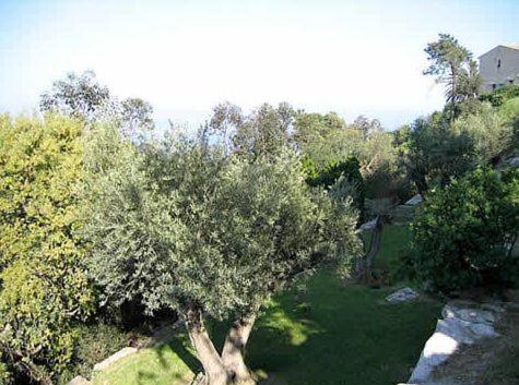 Villa Alamp#Supercannes #Golfejuan #Cannes #Mediterraneanpanoramicview #Piscine #Rooftop # Verymodern #Openliving #Closebeach #Closecapantibes Vallauris Buitenkant foto